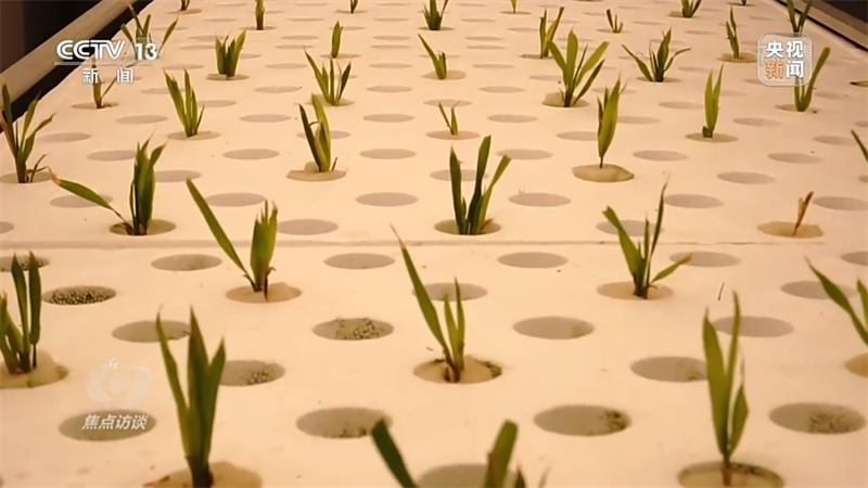 1694489591987414.png 1658888220788751.png