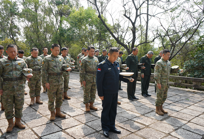 1744010414871636.png 1743730705179831.png