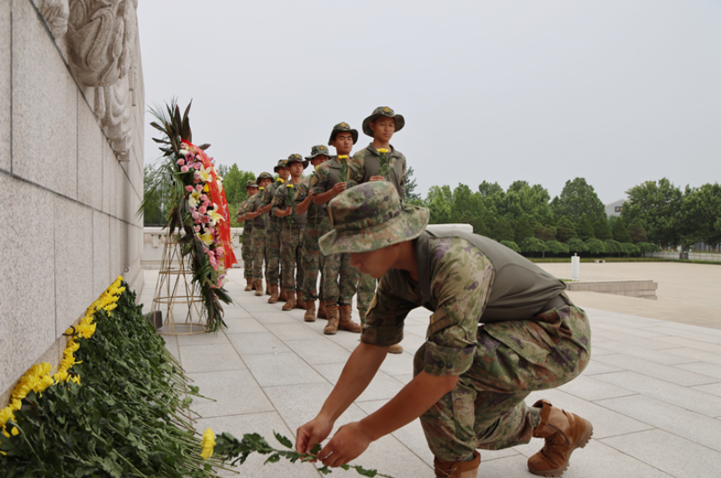 1752112494534151.png 1751848508356340.png