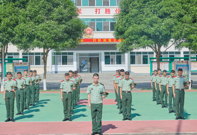 1752114922768582.png 1751850060157548.png