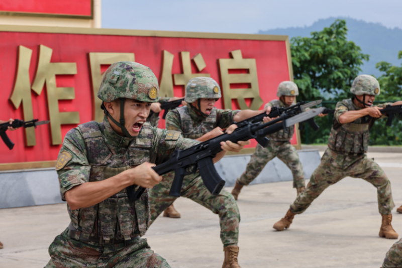 1752141446865165.png 1752026144653235.png