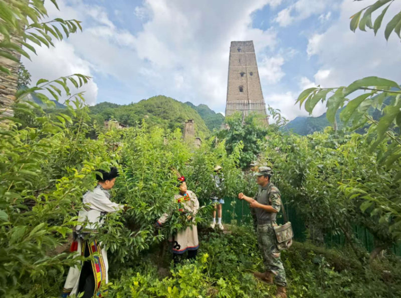 1755159931634661.png 1754973352383428.png