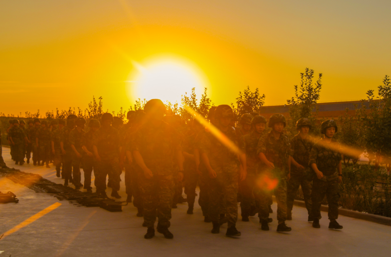 1755165172925571.png 1755151907683682.png