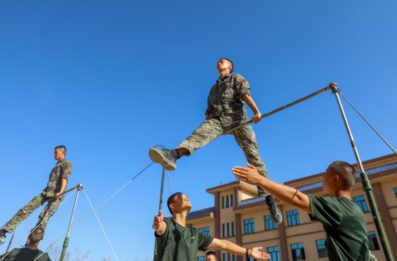 1755165274392075.png 1755152130416633.png