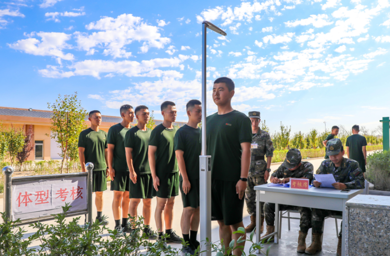 1755165296154938.png 1755152171270269.png