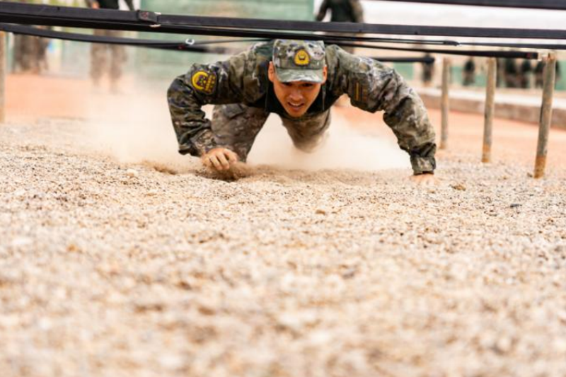 1755587617248319.png 1755567931918979.png