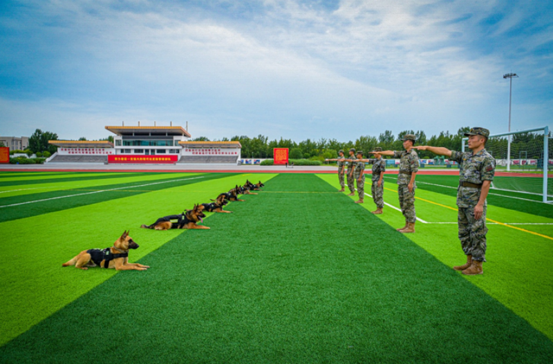 1755588655166777.png 1755498060446503.png