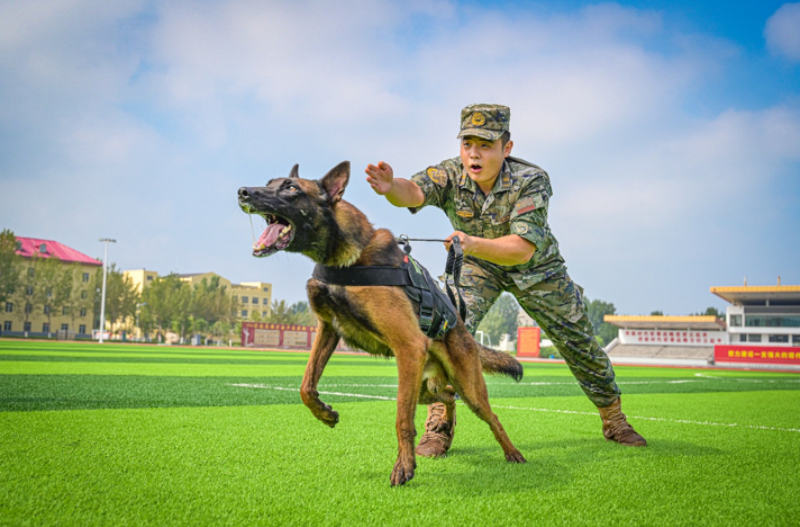 1755588667117353.png 1755497956991612.png