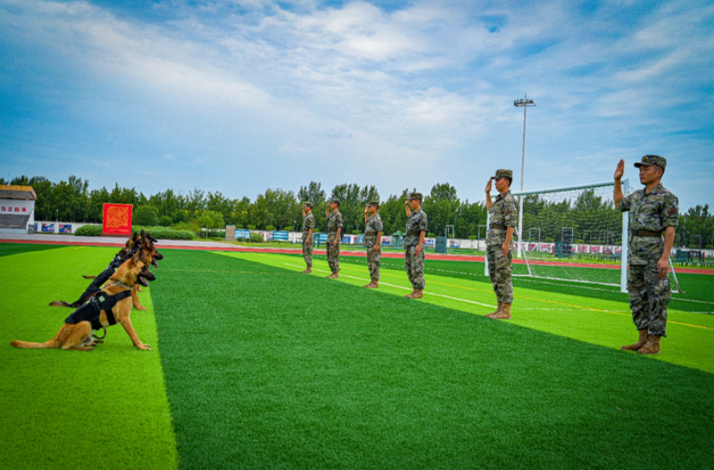 1755588683118182.png 1755498048255866.png