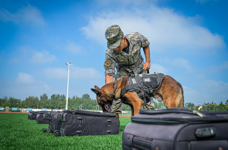 1755588729814561.png 1755498216517157.png