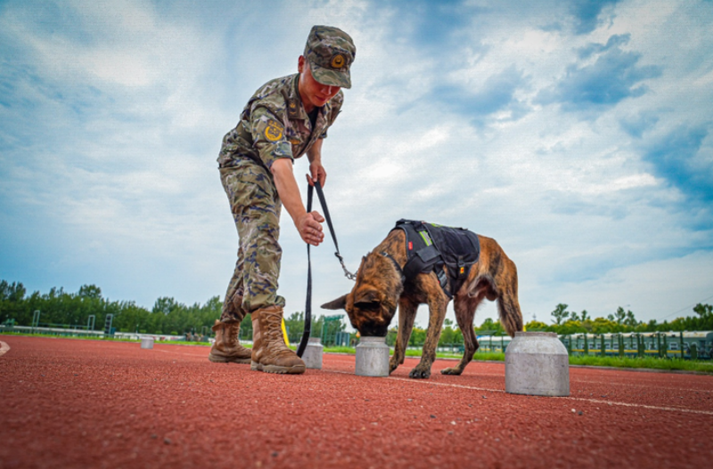 1755588741685593.png 1755498091752726.png