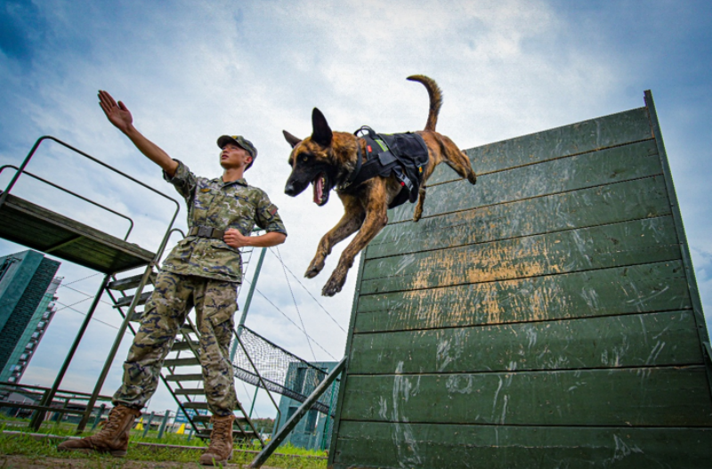 1755588752146193.png 1755497977339192.png