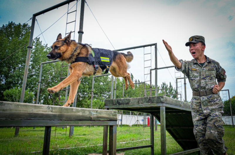 1755588765514612.png 1755497909878625.png