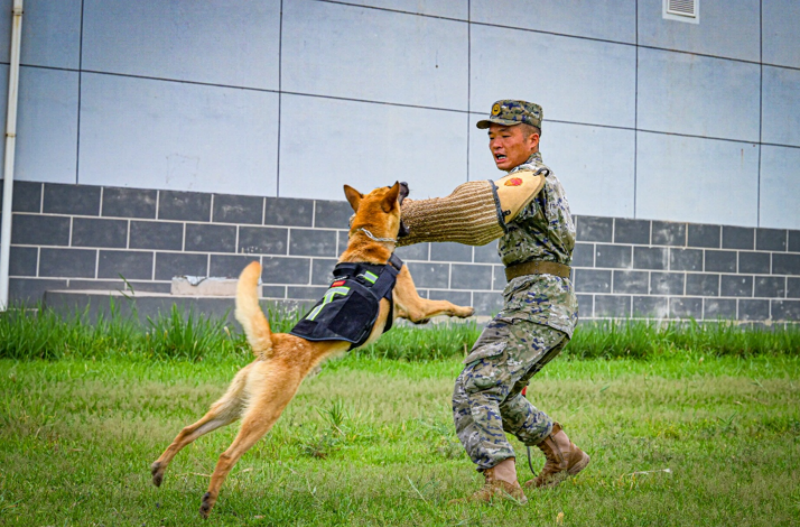 1755589168277233.png 1755497991192374.png