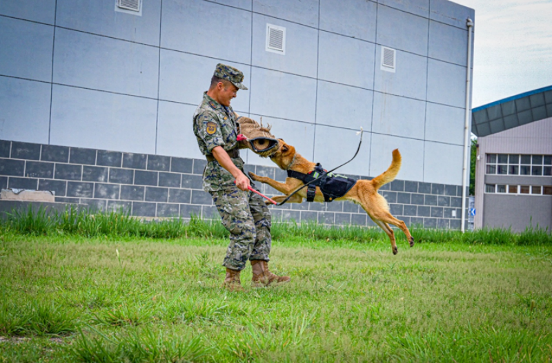 1755589185758582.png 1755498130245371.png