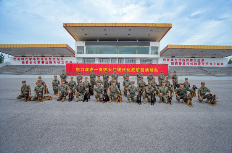 1755589206926898.png 1755498334392198.png