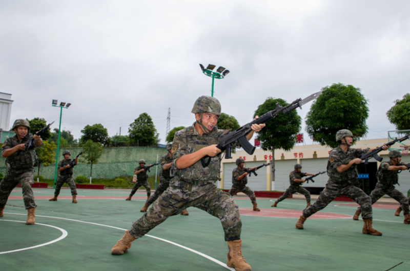 1758246539364156.png 1758178802313756.png