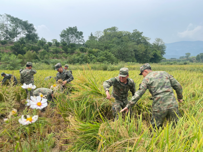 1759053472379347.png 1758517336372355.png