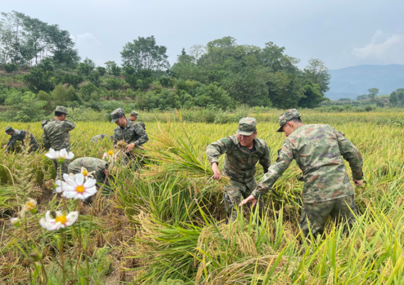 1759129904855007.png 1758524545976140.png