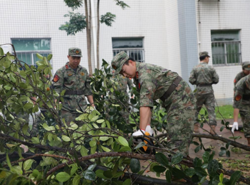 1759130141871087.png 1758777339293225.png