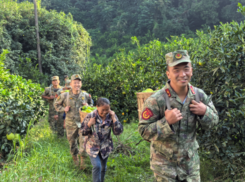 1761269175210466.png 1761208204681139.png