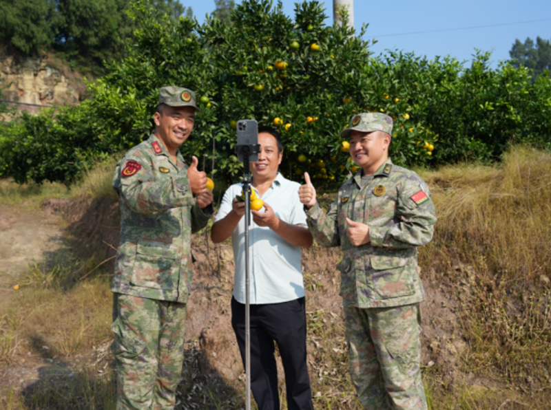 1761269196843033.png 1761208155364812.png