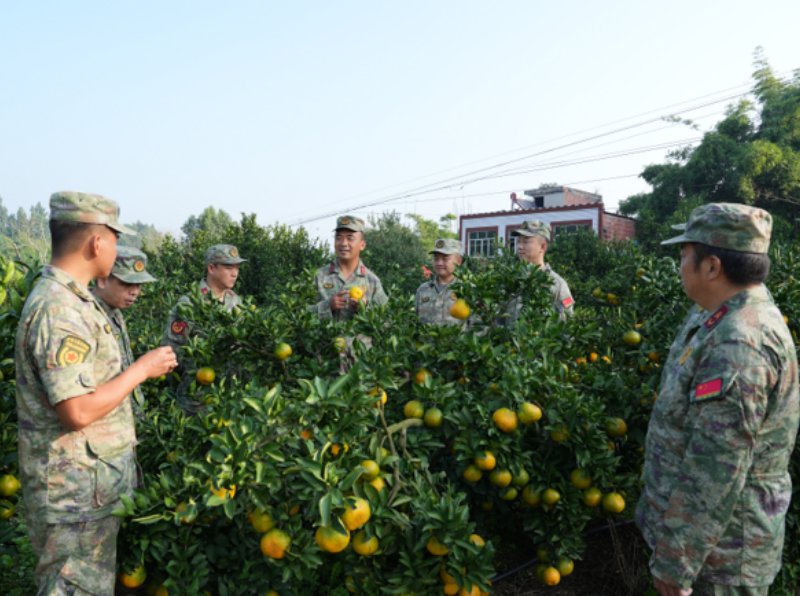 1761269219878542.png 1761208270485059.png