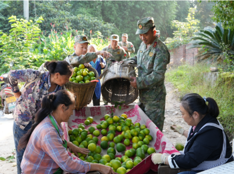 1761269236289620.png 1761208304883352.png