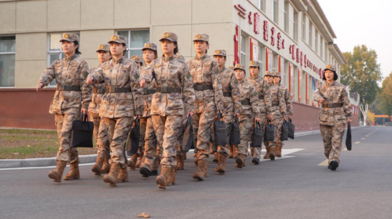 1762912950590125.png 1762847757786349.png