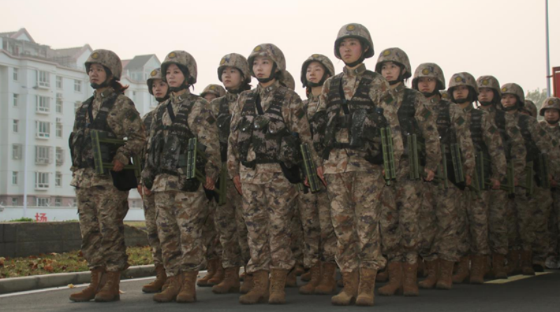 1762913227519802.png 1762849134882852.png