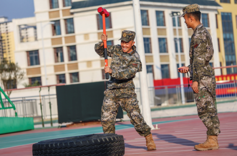 1764214576855748.png 1764209013114944.png