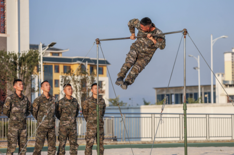 1764214596784643.png 1764209037489302.png