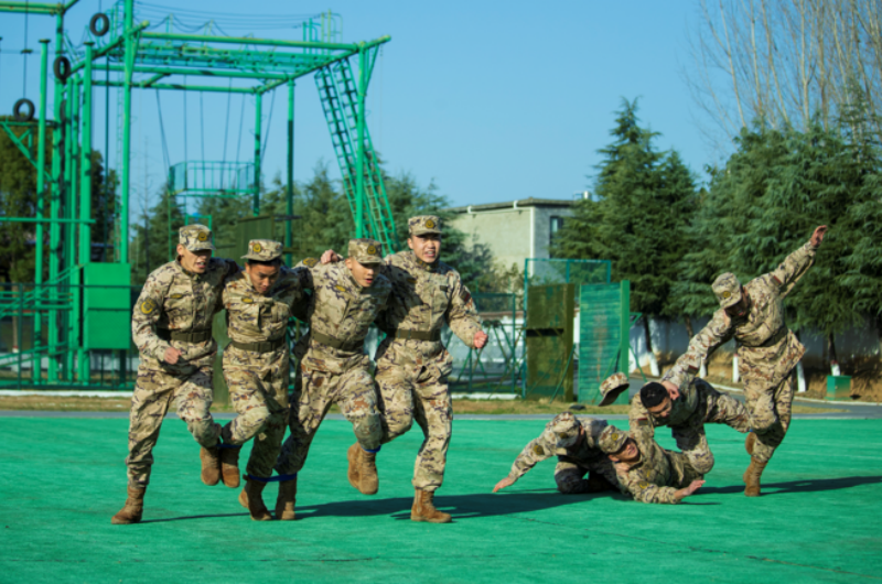 1764811965605159.png 1764294206382722.png