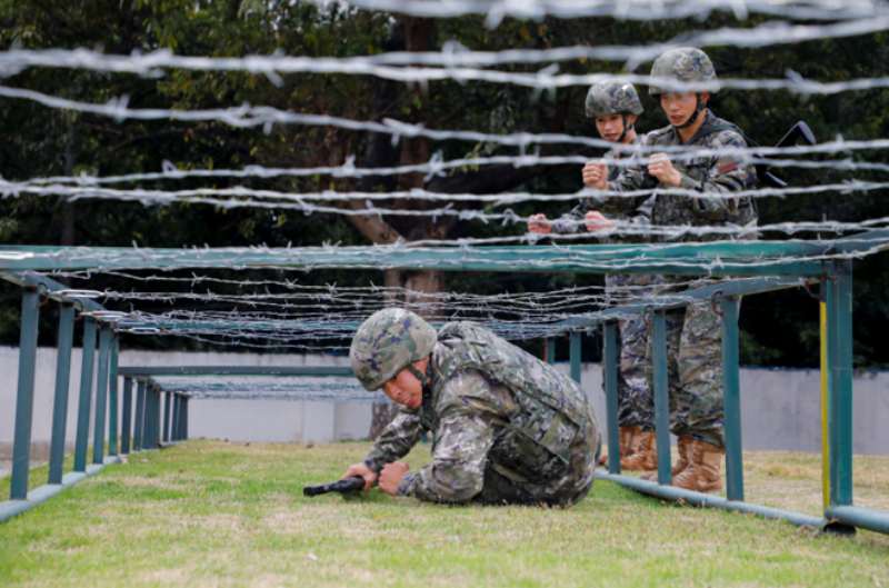 1765614750765221.png 1765597417220983.png