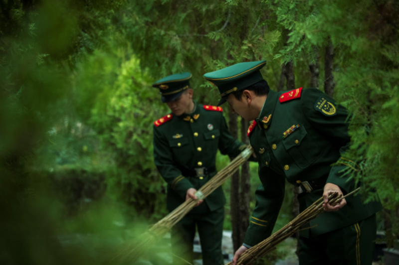 1765615173399814.png 1765599516695000.png